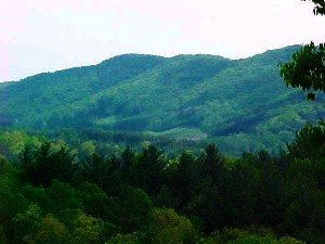 Rich Mountain Wilderness